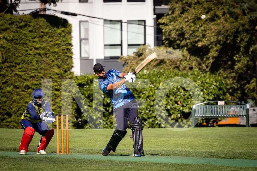 Cricket action