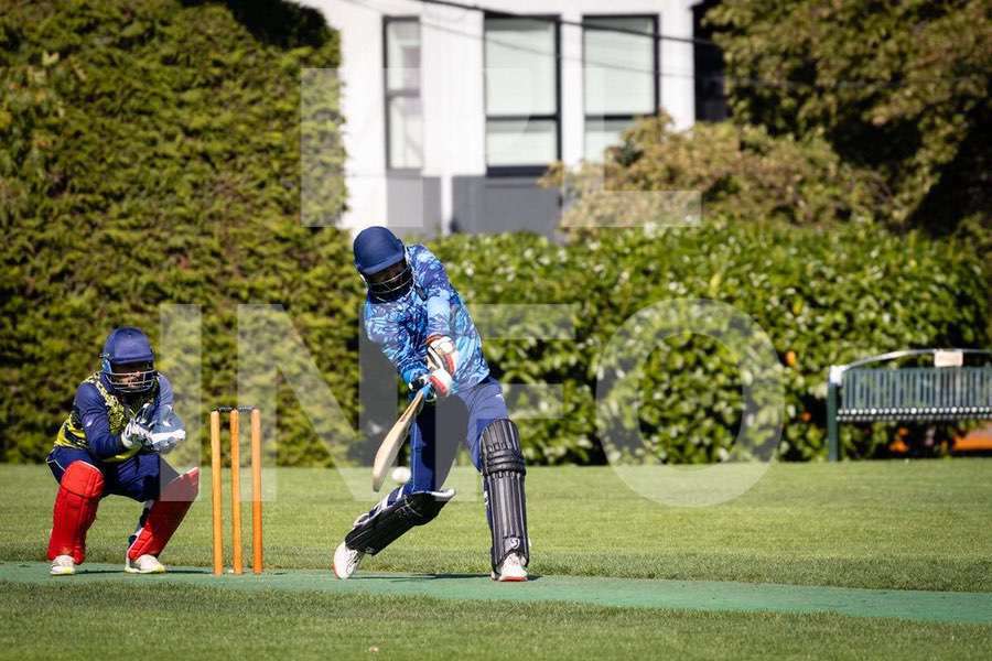 Cricket action