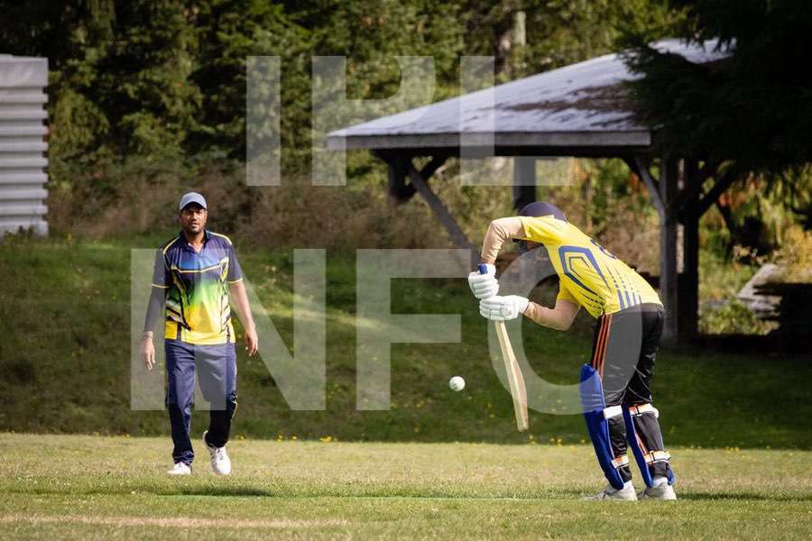 Cricket action