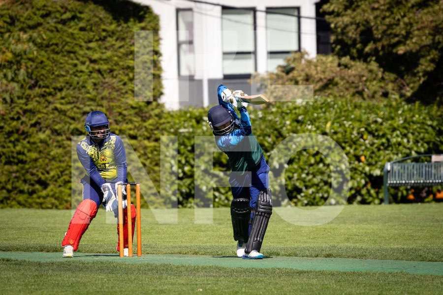 Cricket action