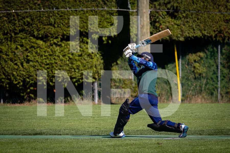 Cricket action