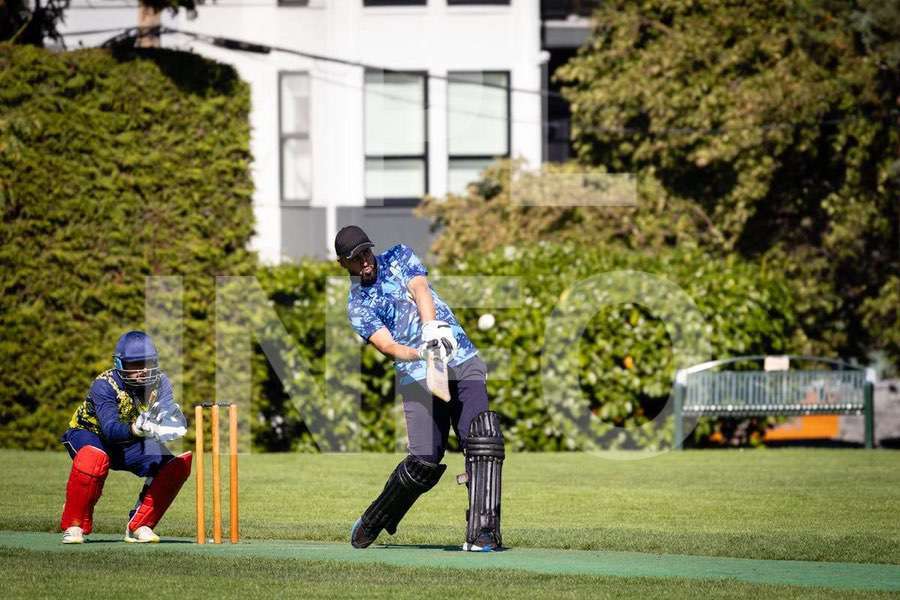 Cricket action