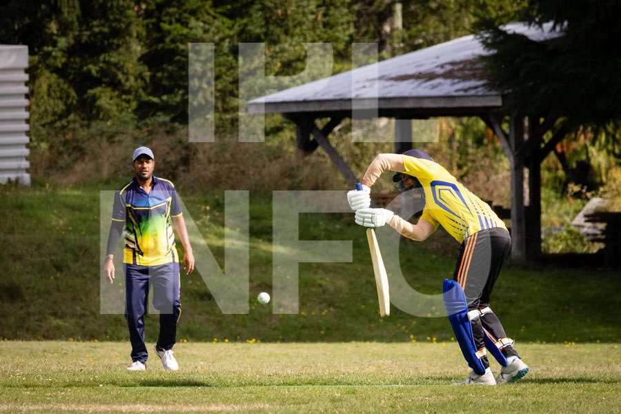 Cricket action