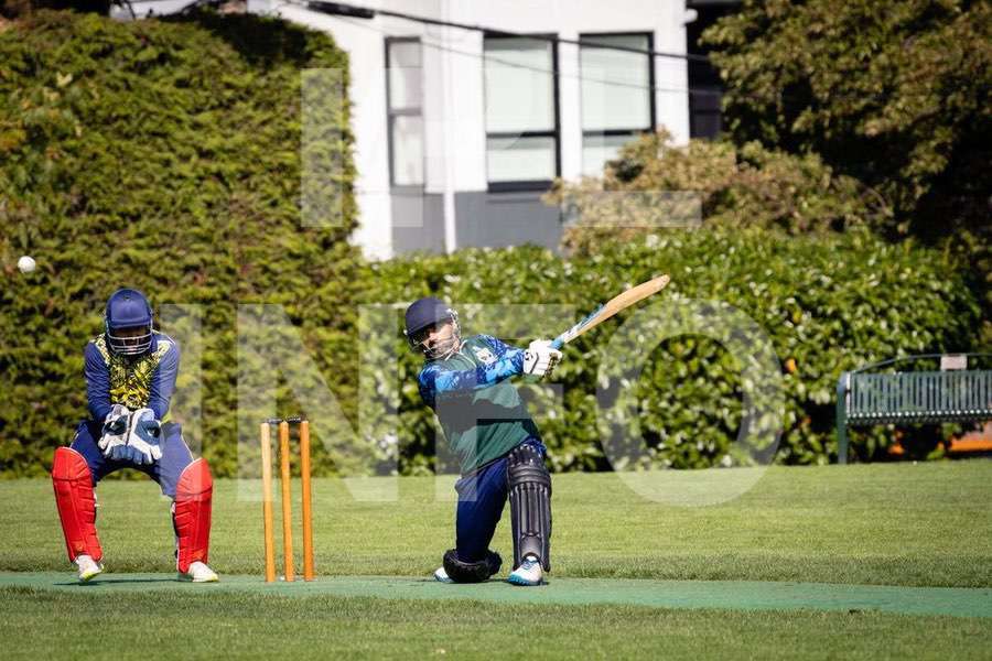 Cricket action