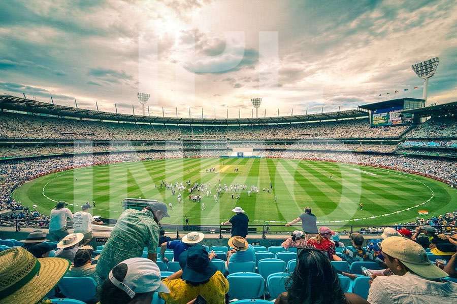 Cricket action