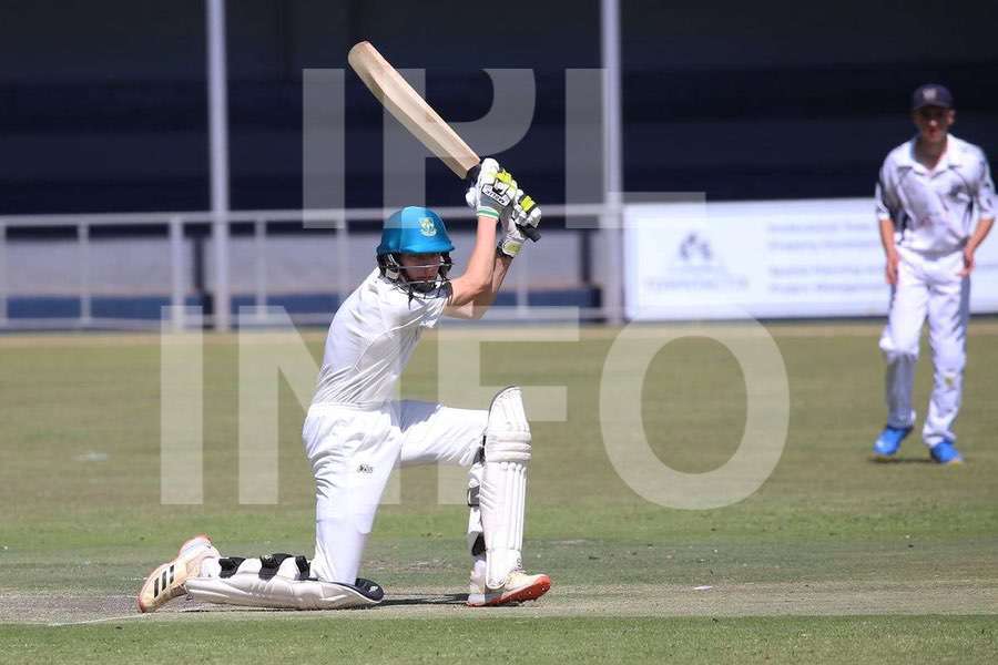 Cricket action