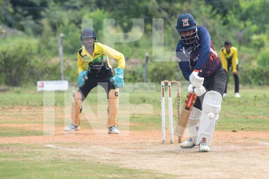 Cricket action