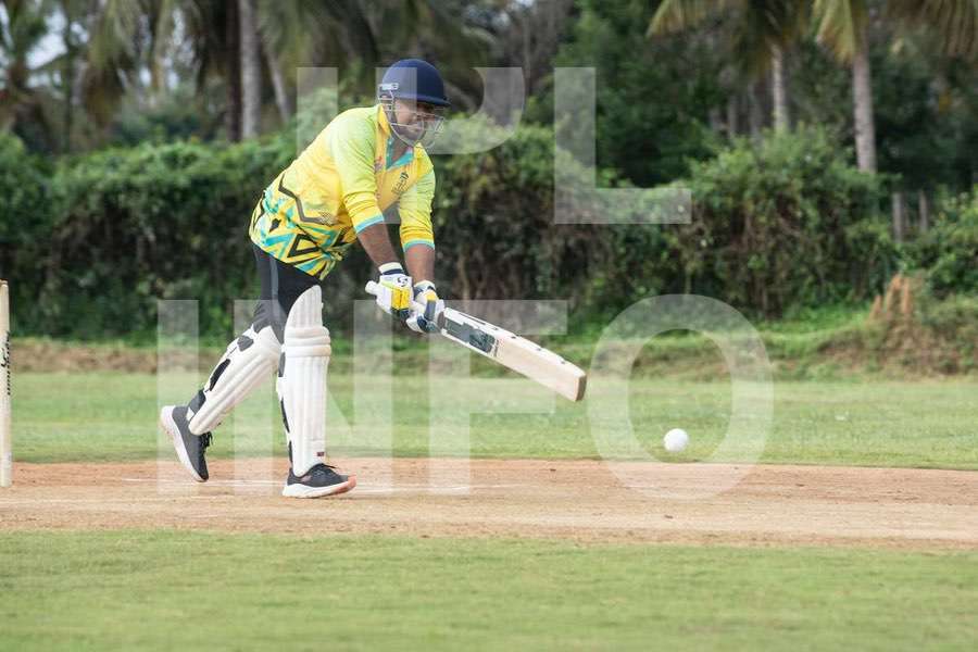 Cricket action